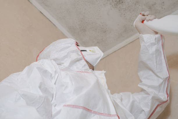 Best Mold Testing  in Fullerton, PA