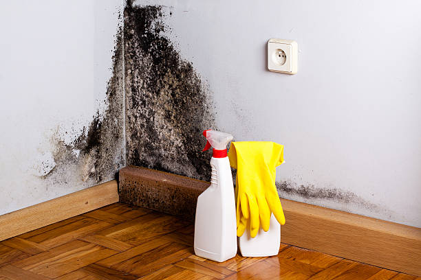 Best Crawl Space Mold Removal  in Fullerton, PA