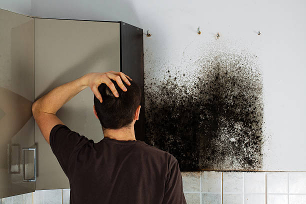 Best Residential Mold Removal  in Fullerton, PA